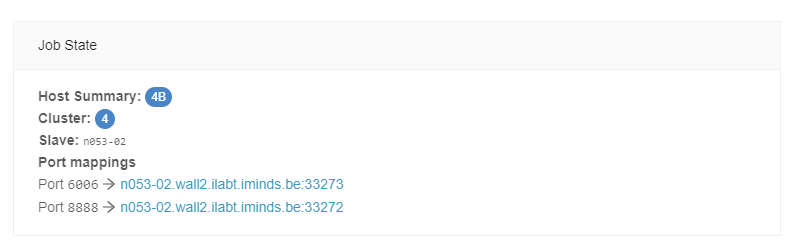 Port mappings shown on the Slices AI infrastructure website
