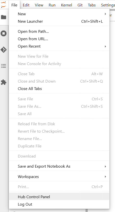 JupyterHub Hub menu, Control Panel option